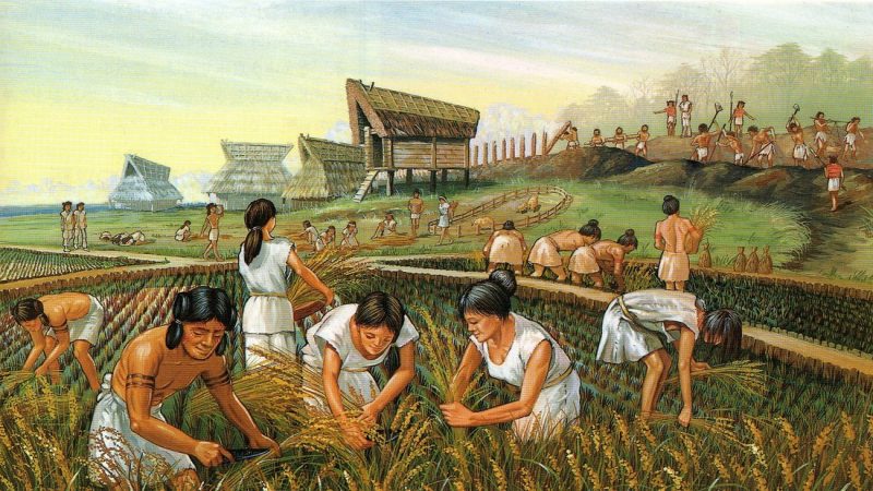 Hórreos and cultivation in the field in the tripilia cucuteni culture (primitive communism). All the representations in textbooks and popularization books hint at a certain sexual division of labor denied by the archaeological works they seek to represent.