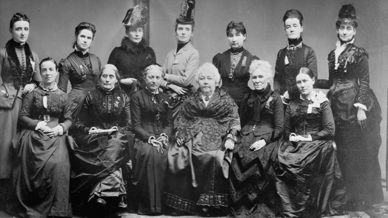 NWSA, feminism in the United States