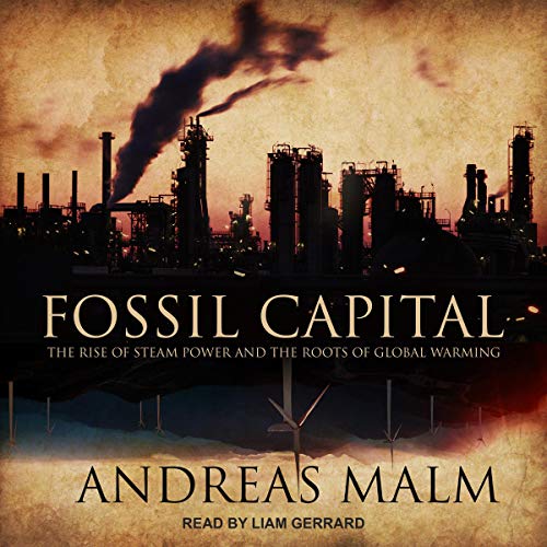 The idea of "fossil capitalism", a pro-capitalist argument of "radical environmentalism" that is now being recycled with the conversion of environmentalism into a new state ideology.