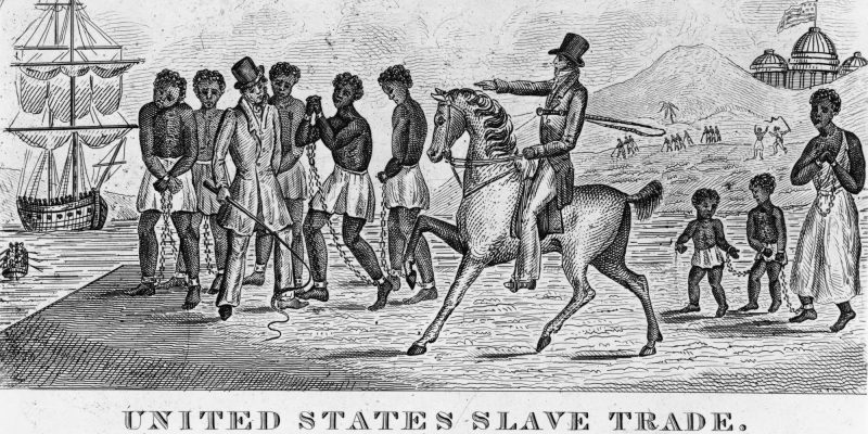 slave trade and agriculture