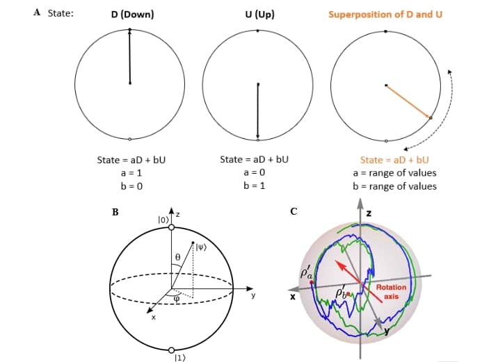Figure 1: a) left: representation of the two mutually exclusive states of a particle when measured (spin for example) as antiparallel vectors. Right: superposition of both states (combination of both vectors yielding intermediate points on the circumference). b) Bloch sphere, situation equivalent to that of the circle, but with two angles. c) Experimental result showing the "motion" of the states on the sphere when applying several quantum logic gates. Image c) adapted from https://link.springer.com/article/10.1007/s40509-019-00198-2/