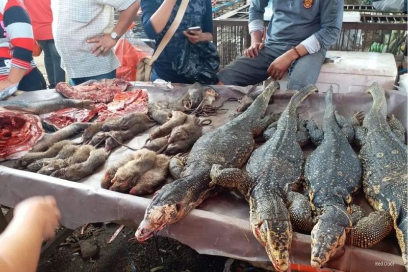 Game meat in Wuhan's "wet market". These markets, likely the origin of Covid, sold not only game meat but also live wild animals.