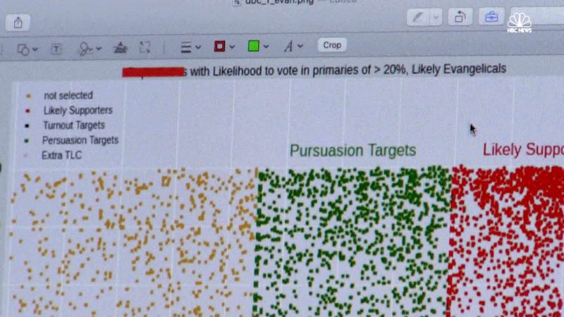 Statistical and network analysis software used by Cambridge Analytica to develop its campaigns.
