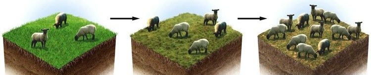 The false myth of a "tragedy of the commons" that never existed. And in communism even less so.