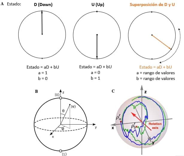 Figura 1: a) izquierda: representación de los dos estados mutuamente excluyentes de una partícula al ser medida (espín por ejemplo) como vectores antiparalelos. Derecha: superposición de ambos estados (combinación de ambos vectores dando puntos intermedios en la circunferencia). b) Esfera de Bloch, situación equivalente a la del círculo, pero con dos ángulos. c) Resultado experimental mostrando el «movimiento» de los estados sobre la esfera al aplicar varias puertas lógicas. Imagen c) adapatada de https://link.springer.com/article/10.1007/s40509-019-00198-2/