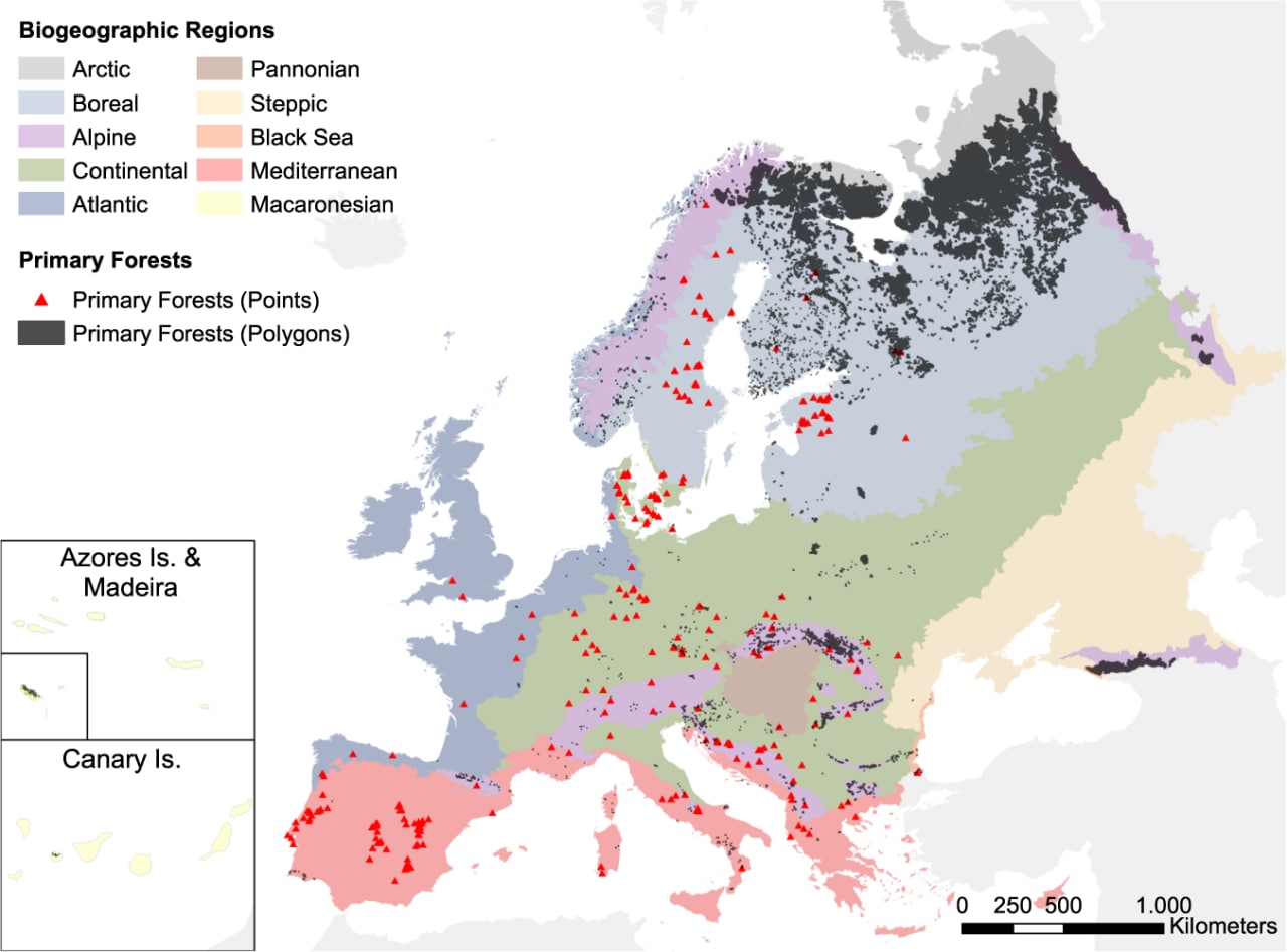 Mapa de bosques primarios europeos