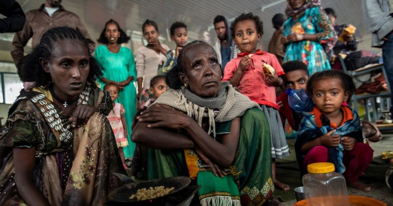 Refugiados de la guerra en el Tigré